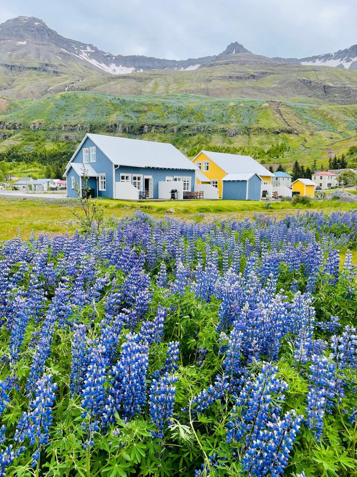 Lonsleira Apartments Seythisfjorthur Luaran gambar
