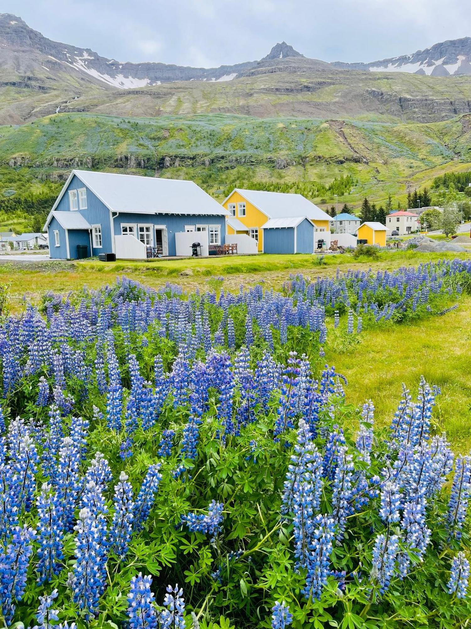 Lonsleira Apartments Seythisfjorthur Luaran gambar